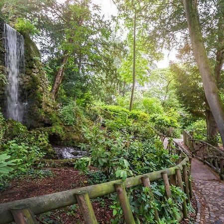 Calme Appart Renove Jardin Des Plantes Busca Тулуза Экстерьер фото